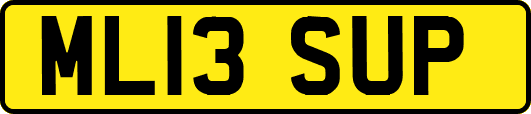 ML13SUP