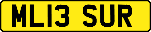 ML13SUR