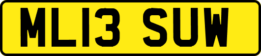 ML13SUW