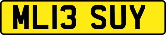ML13SUY