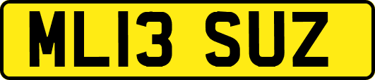 ML13SUZ