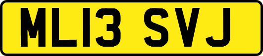 ML13SVJ