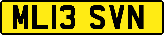 ML13SVN