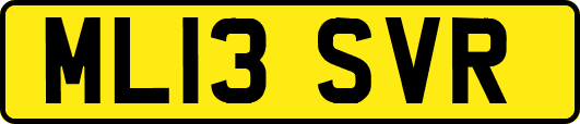 ML13SVR
