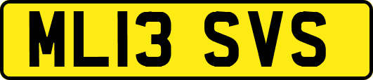 ML13SVS