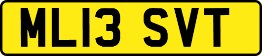 ML13SVT