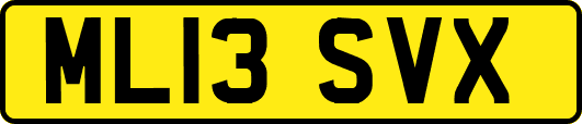 ML13SVX