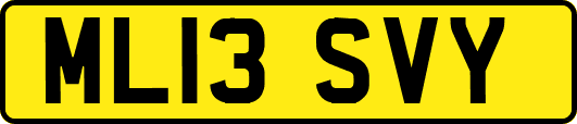 ML13SVY
