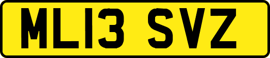 ML13SVZ