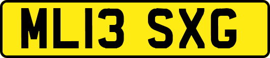 ML13SXG