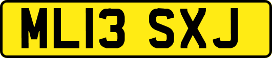 ML13SXJ