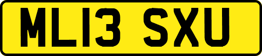 ML13SXU