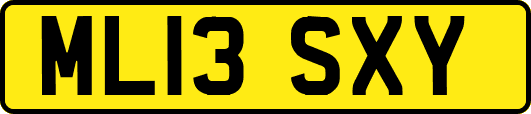 ML13SXY