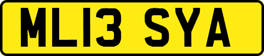 ML13SYA