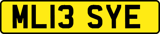 ML13SYE
