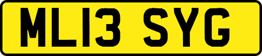 ML13SYG