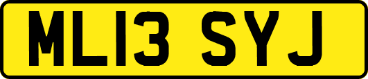 ML13SYJ