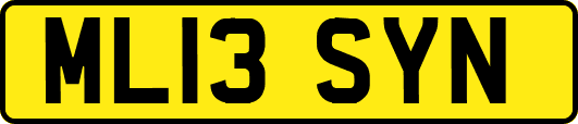 ML13SYN