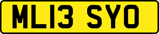 ML13SYO