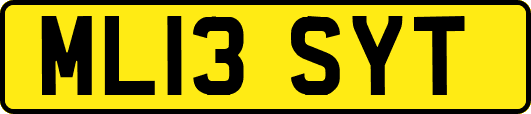 ML13SYT