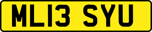 ML13SYU