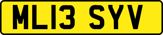ML13SYV