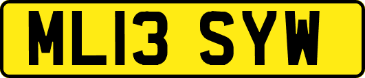 ML13SYW