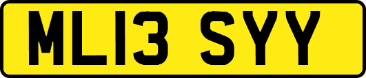 ML13SYY