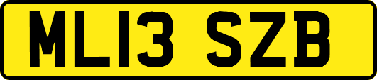 ML13SZB