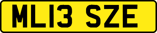 ML13SZE