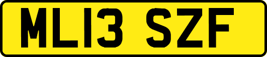 ML13SZF