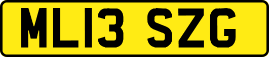 ML13SZG