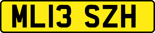 ML13SZH