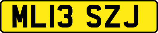 ML13SZJ