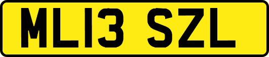 ML13SZL