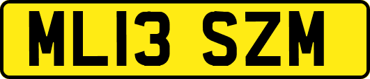 ML13SZM