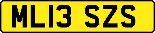 ML13SZS