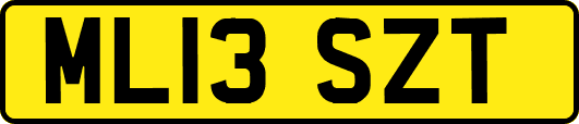 ML13SZT