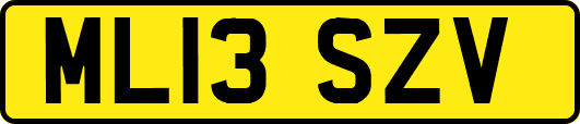 ML13SZV