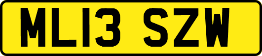 ML13SZW