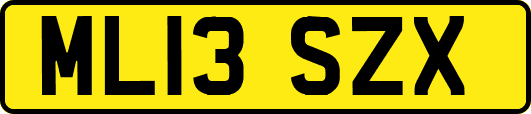 ML13SZX