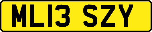ML13SZY