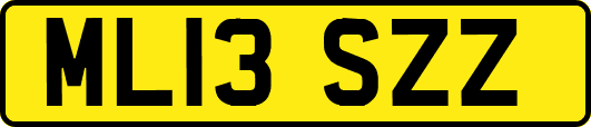 ML13SZZ