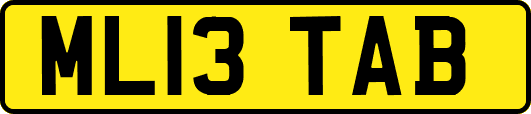 ML13TAB