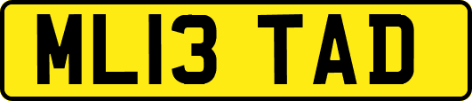 ML13TAD