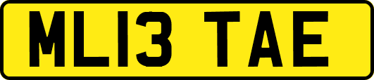 ML13TAE