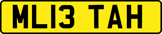ML13TAH