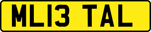 ML13TAL