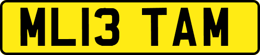 ML13TAM