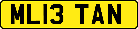 ML13TAN